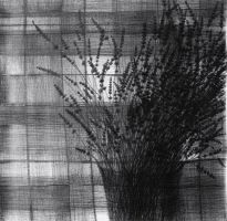 Serie noir: Flora II 2005, Bleistift a. P., 110 x 113